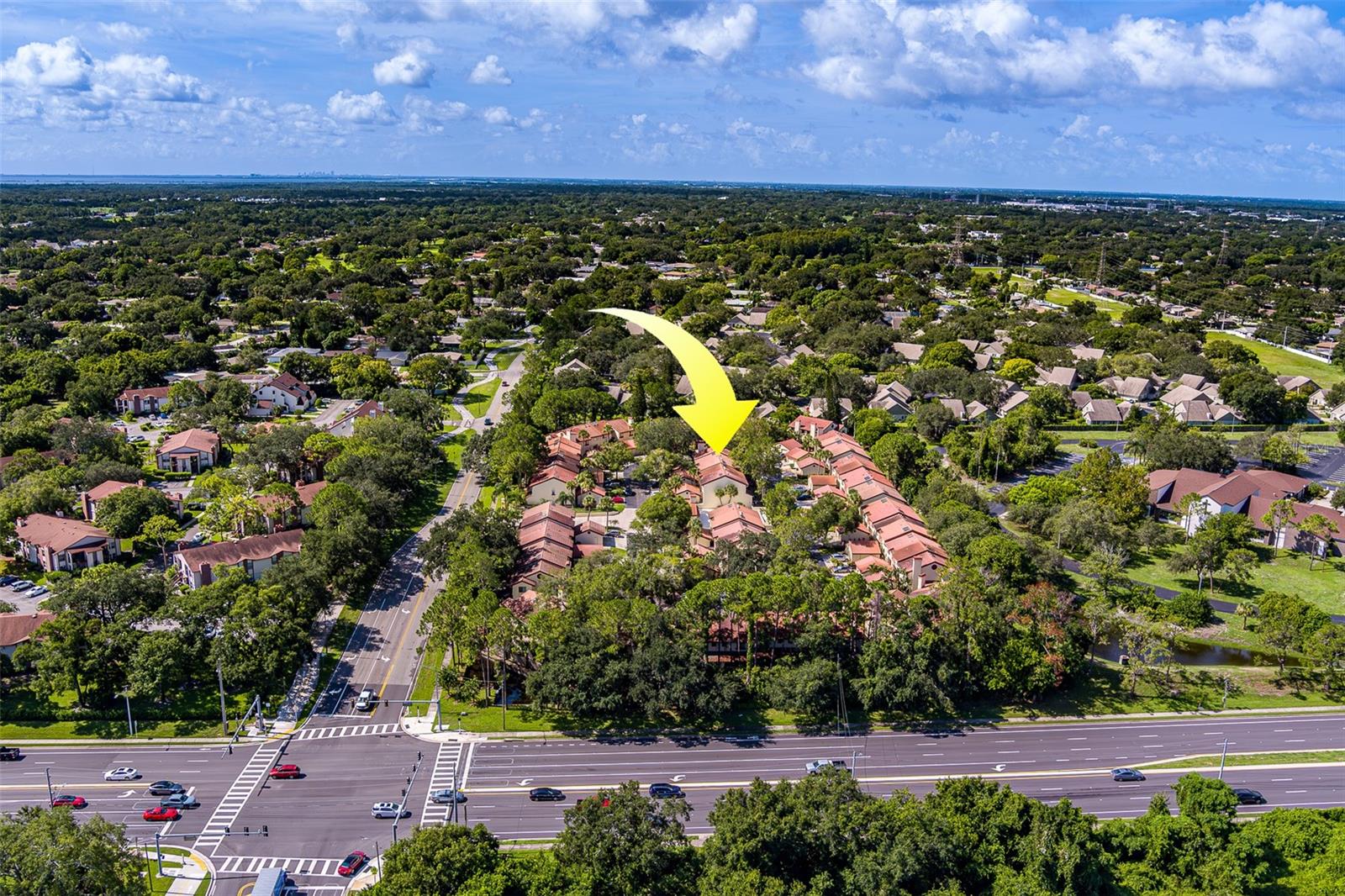 3460 COUNTRYSIDE BLVD #59, CLEARWATER, FL, 33761