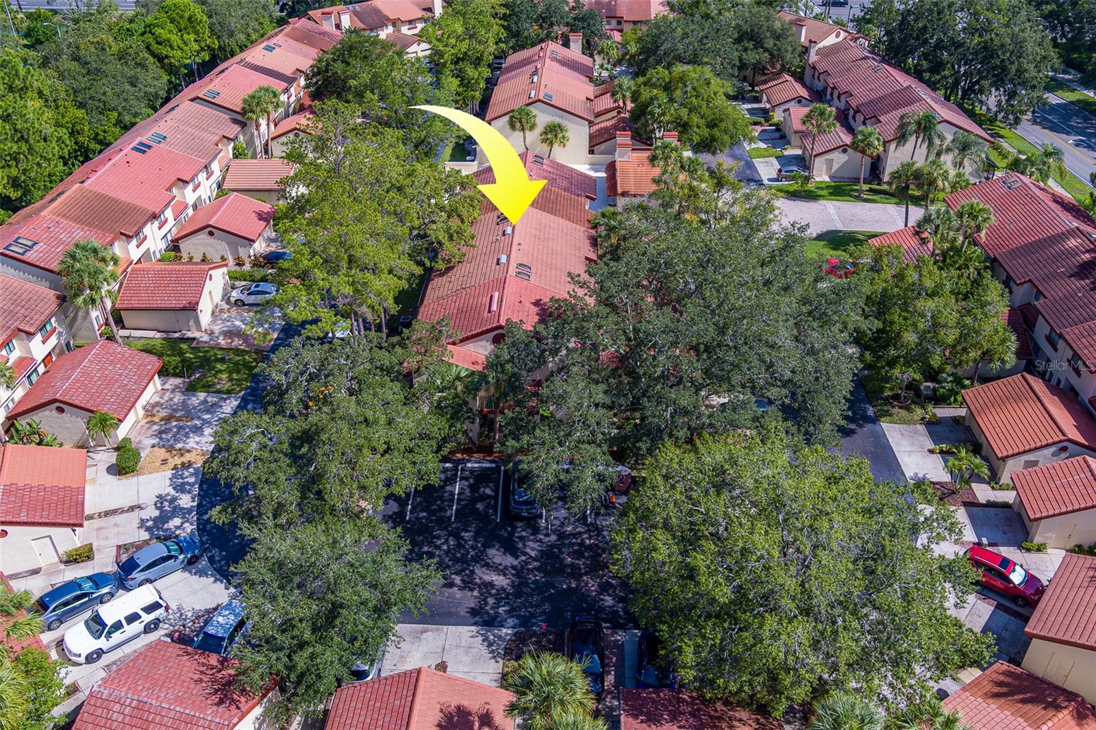 3460 COUNTRYSIDE BLVD #59, CLEARWATER, FL, 33761