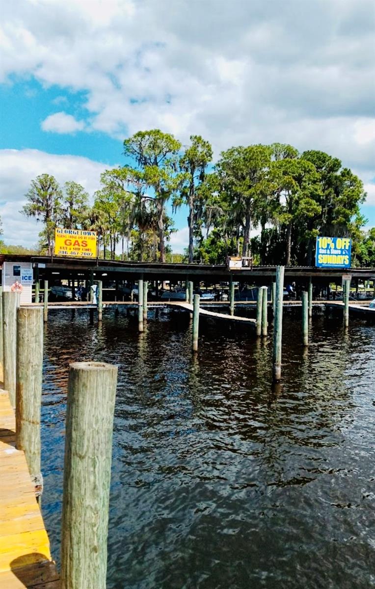 130 FOREST ST, GEORGETOWN, FL, 32139