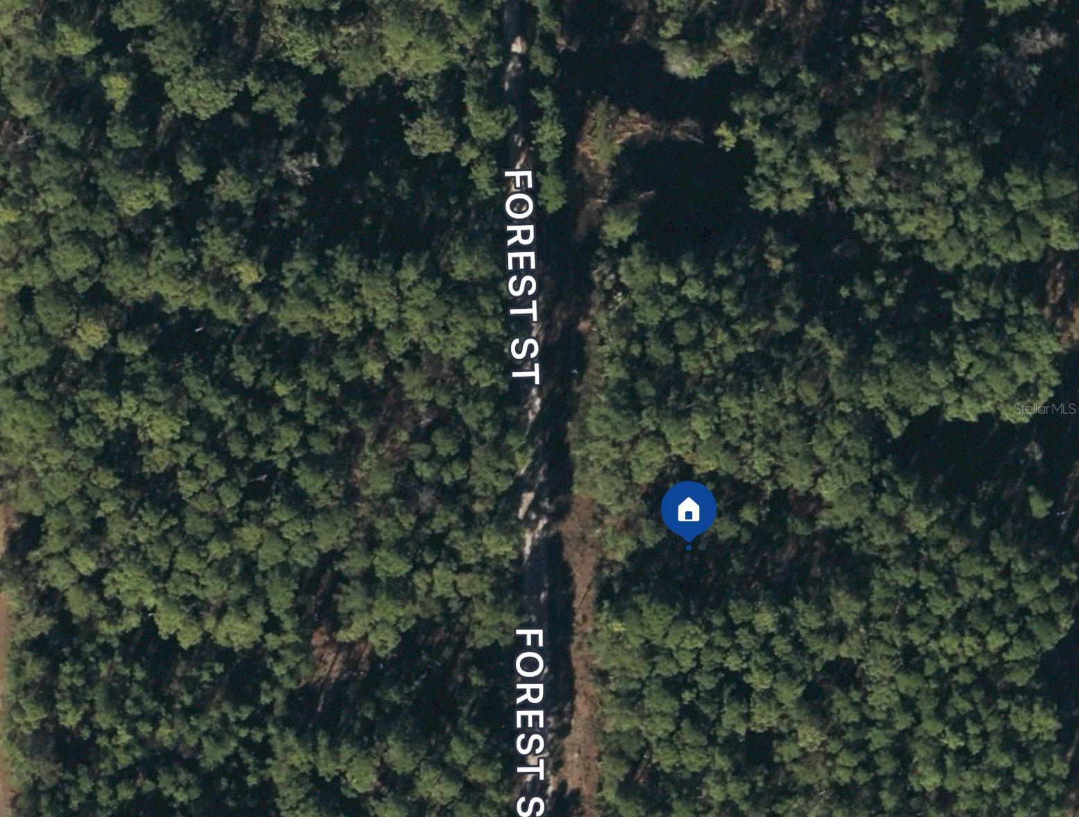 130 FOREST ST, GEORGETOWN, FL, 32139