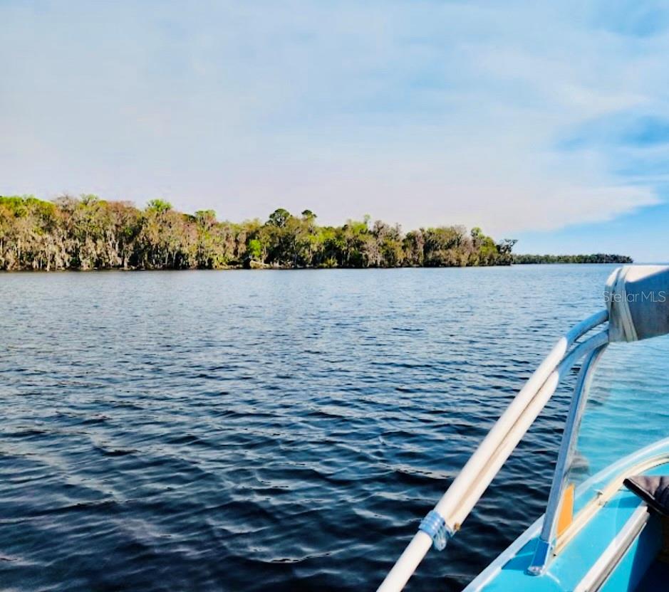 130 FOREST ST, GEORGETOWN, FL, 32139