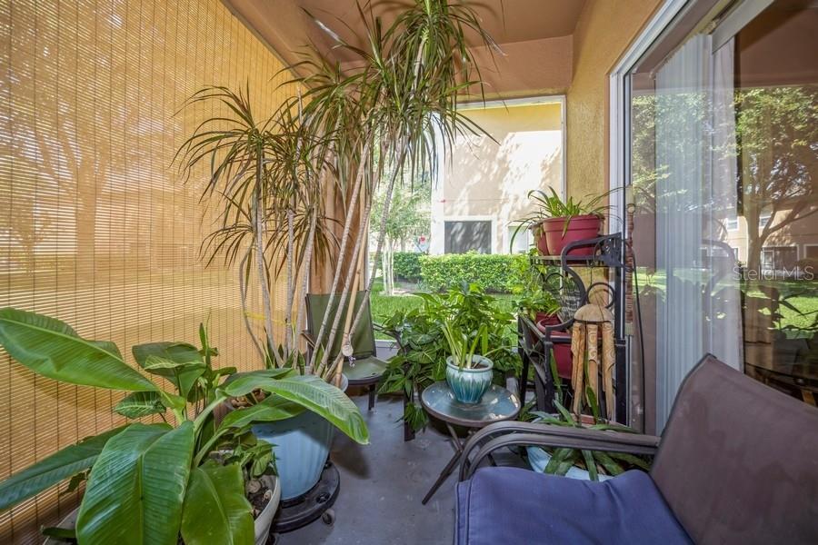 807 CHELSEA DR, DAVENPORT, FL, 33897
