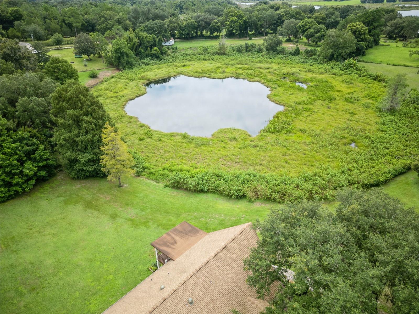 26348 SE HIGHWAY 42, UMATILLA, FL, 32784