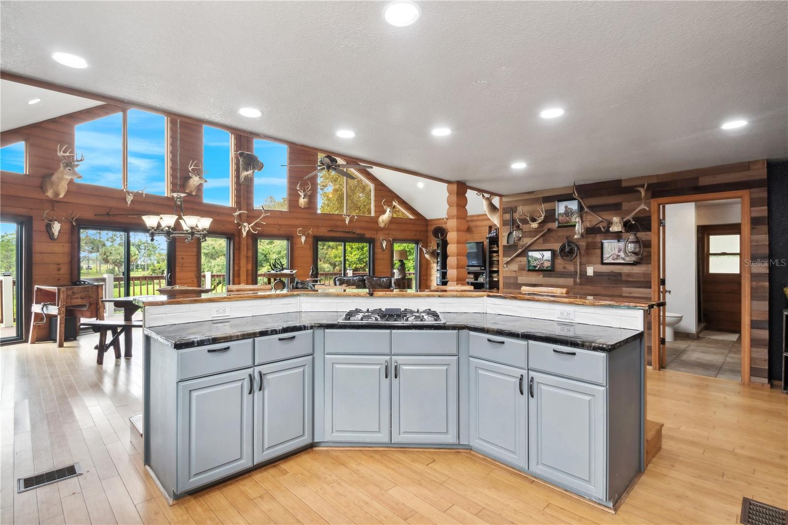 26348 SE HIGHWAY 42, UMATILLA, FL, 32784