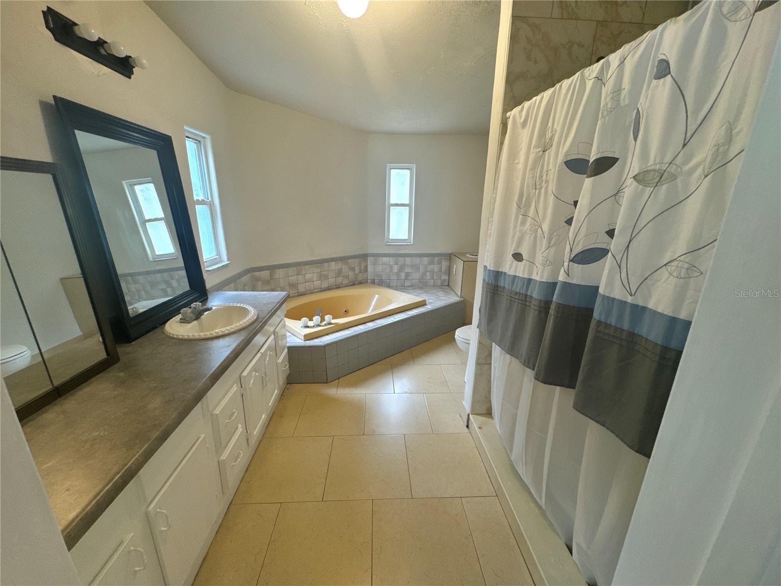 39211 COOT DR, EUSTIS, FL, 32736