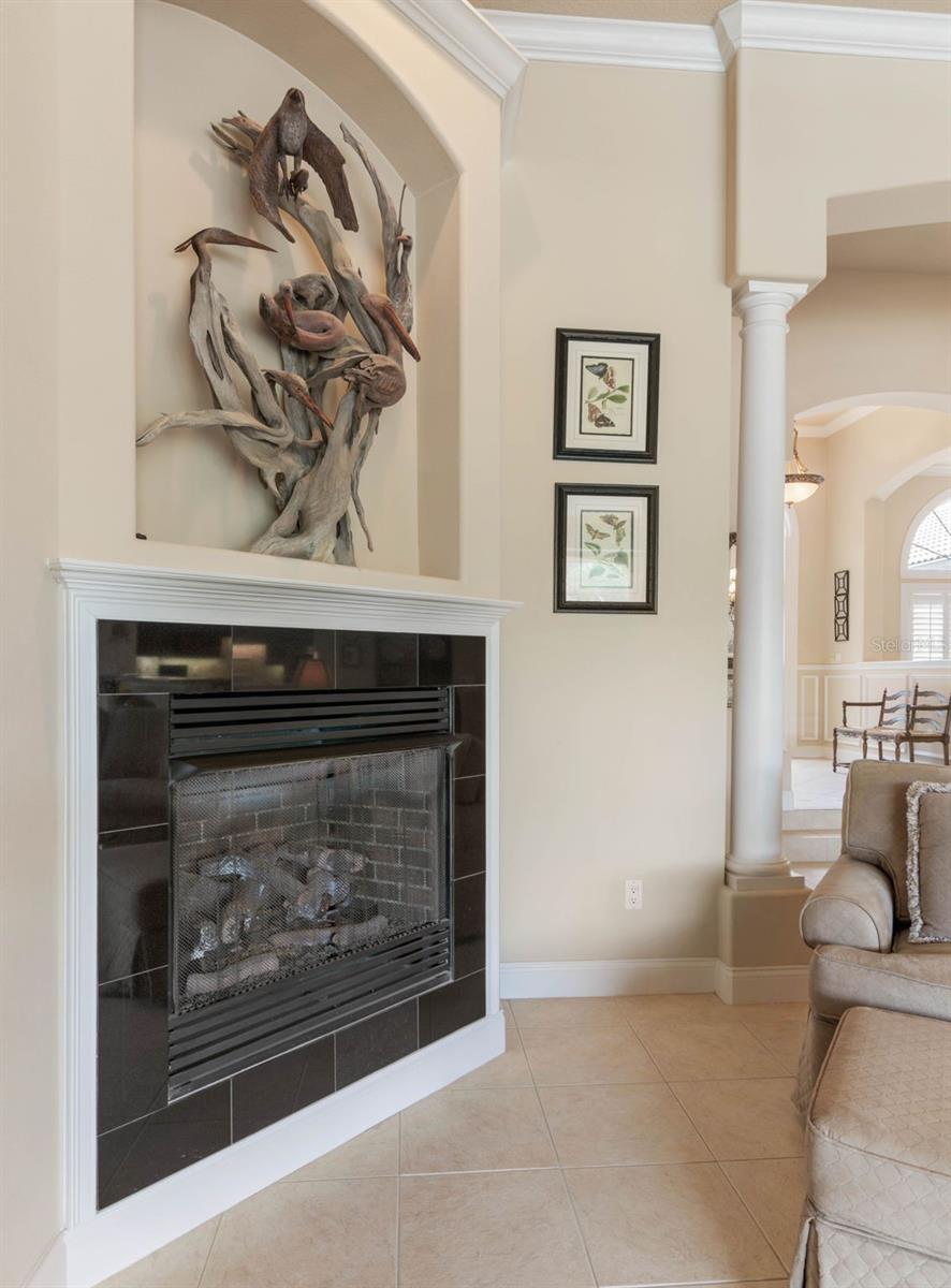 41 OCEAN OAKS LN, PALM COAST, FL, 32137