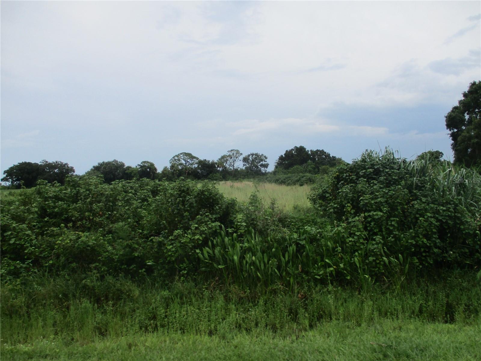 1108 NE 48TH AVE, OKEECHOBEE, FL, 34972