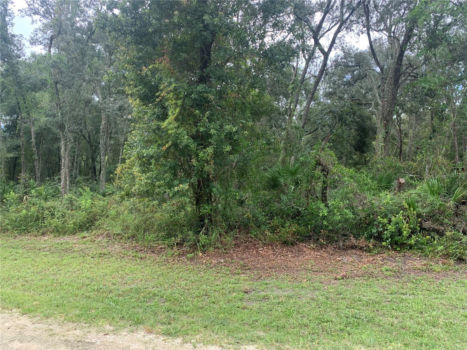 35314 GOETHALS ST, WEBSTER, FL, 33597