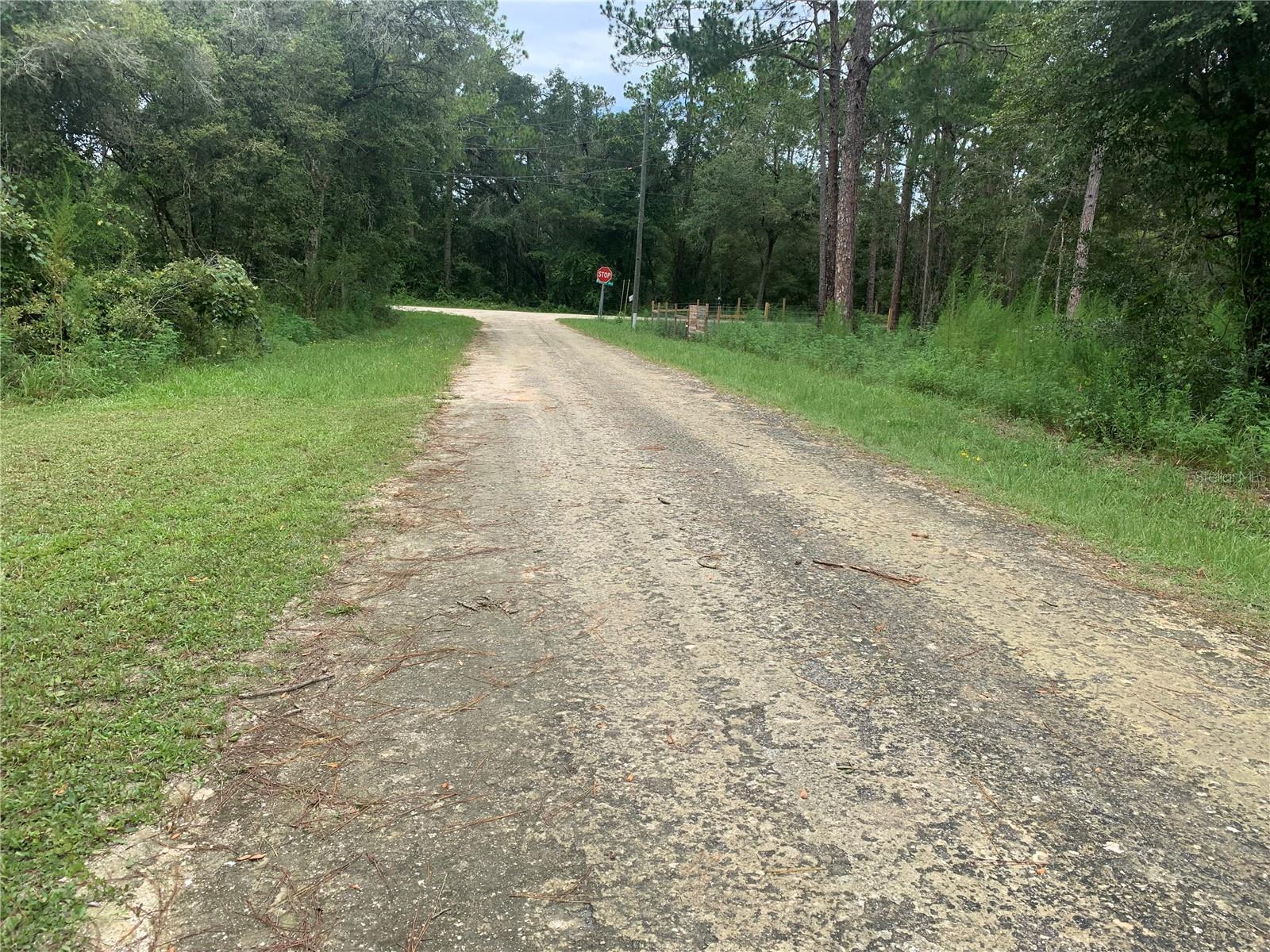 35314 GOETHALS ST, WEBSTER, FL, 33597