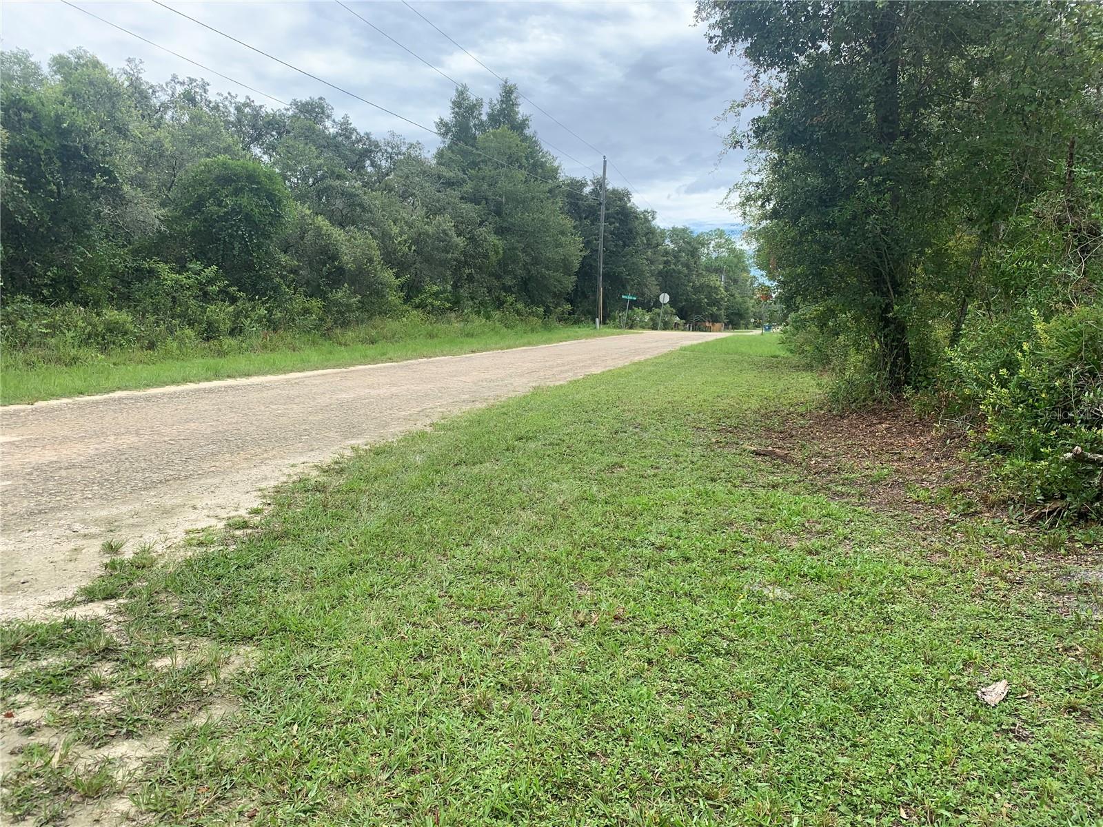 35314 GOETHALS ST, WEBSTER, FL, 33597