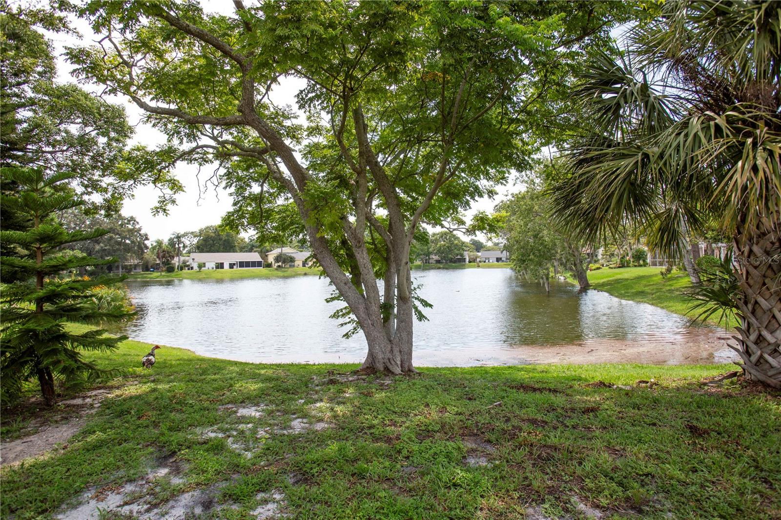 12307 FIELDSTONE LN, HUDSON, FL, 34667