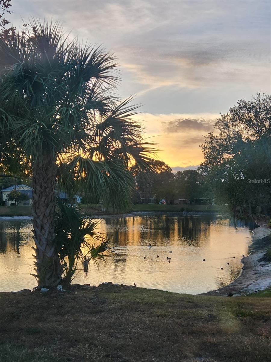 12307 FIELDSTONE LN, HUDSON, FL, 34667