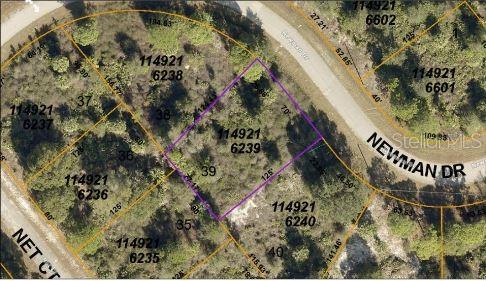 NEWMAN DR, NORTH PORT, FL, 34288