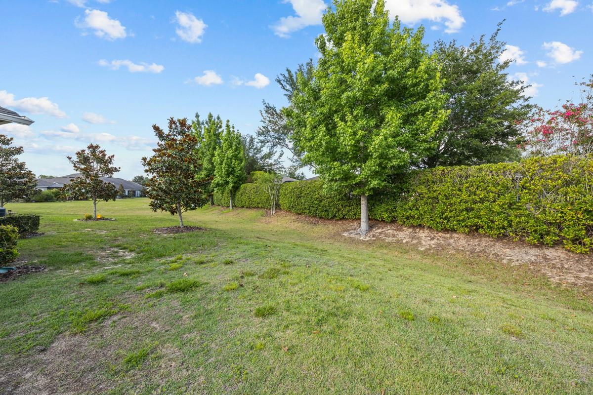 3656 SOLANA CIR #F, CLERMONT, FL, 34711