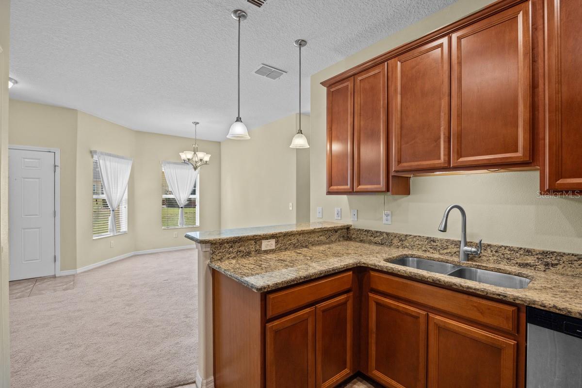 3656 SOLANA CIR #F, CLERMONT, FL, 34711