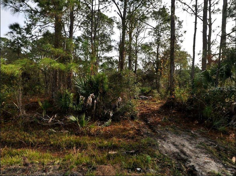 STARFISH AVE, NORTH PORT, FL, 34291