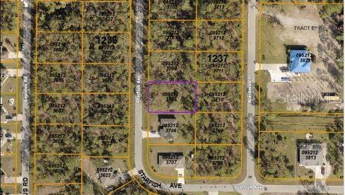 STARFISH AVE, NORTH PORT, FL, 34291