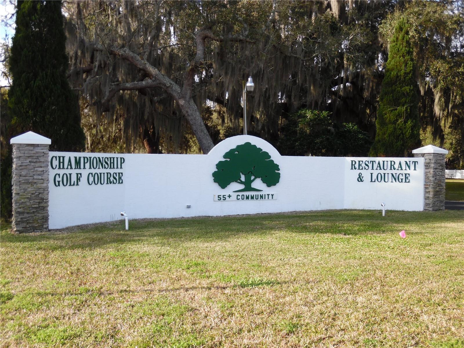 142 BIG OAK LANE, WILDWOOD, FL, 34785