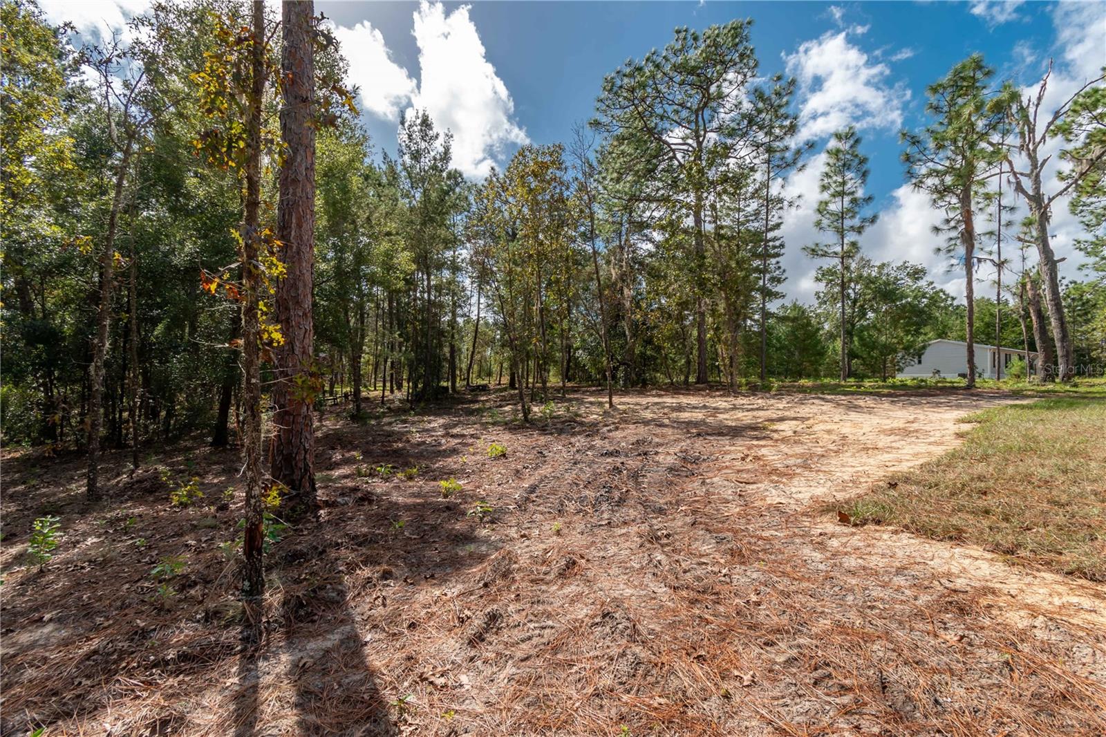 177 WHIRLWIND LOOP, HAWTHORNE, FL, 32640