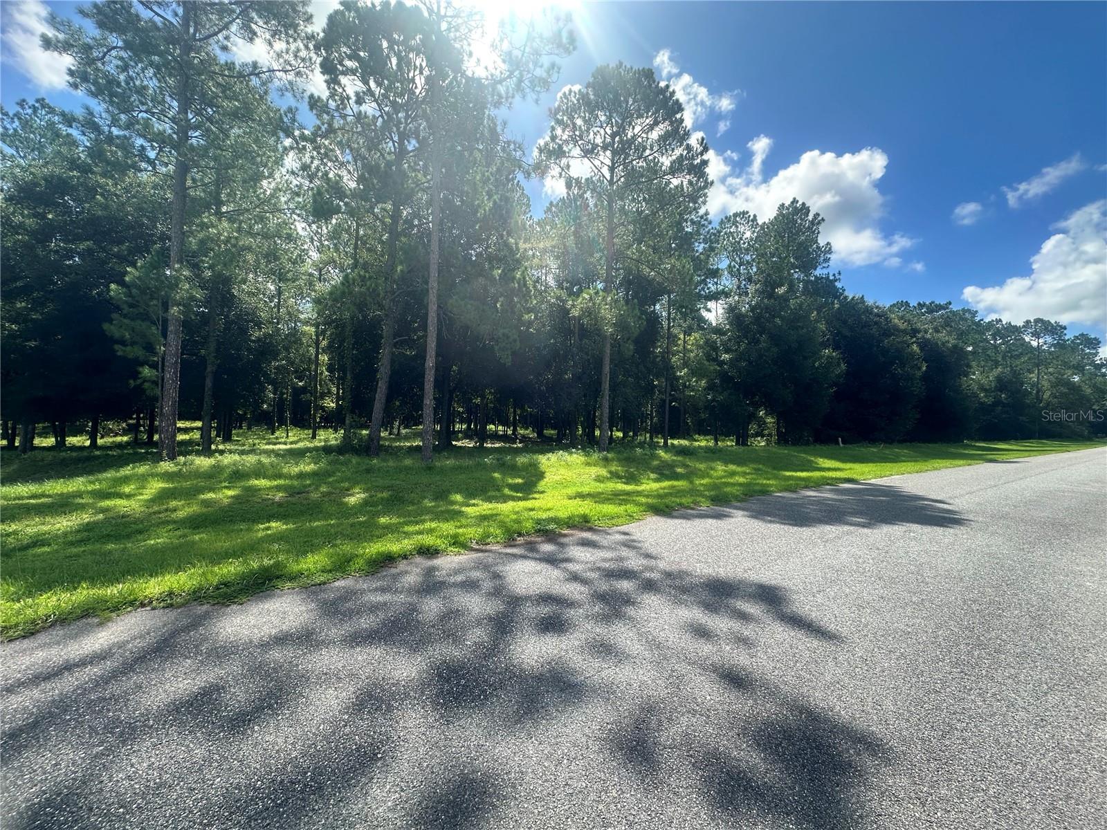 24250 DEEP SPRINGS LOOP, EUSTIS, FL, 32736