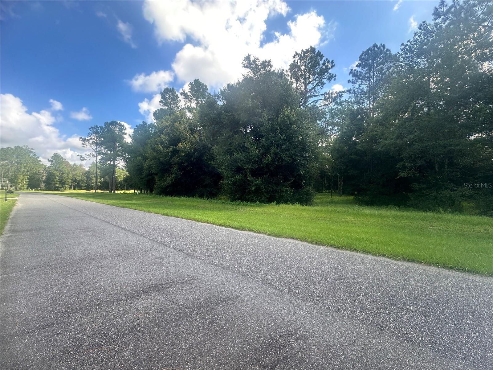 24250 DEEP SPRINGS LOOP, EUSTIS, FL, 32736