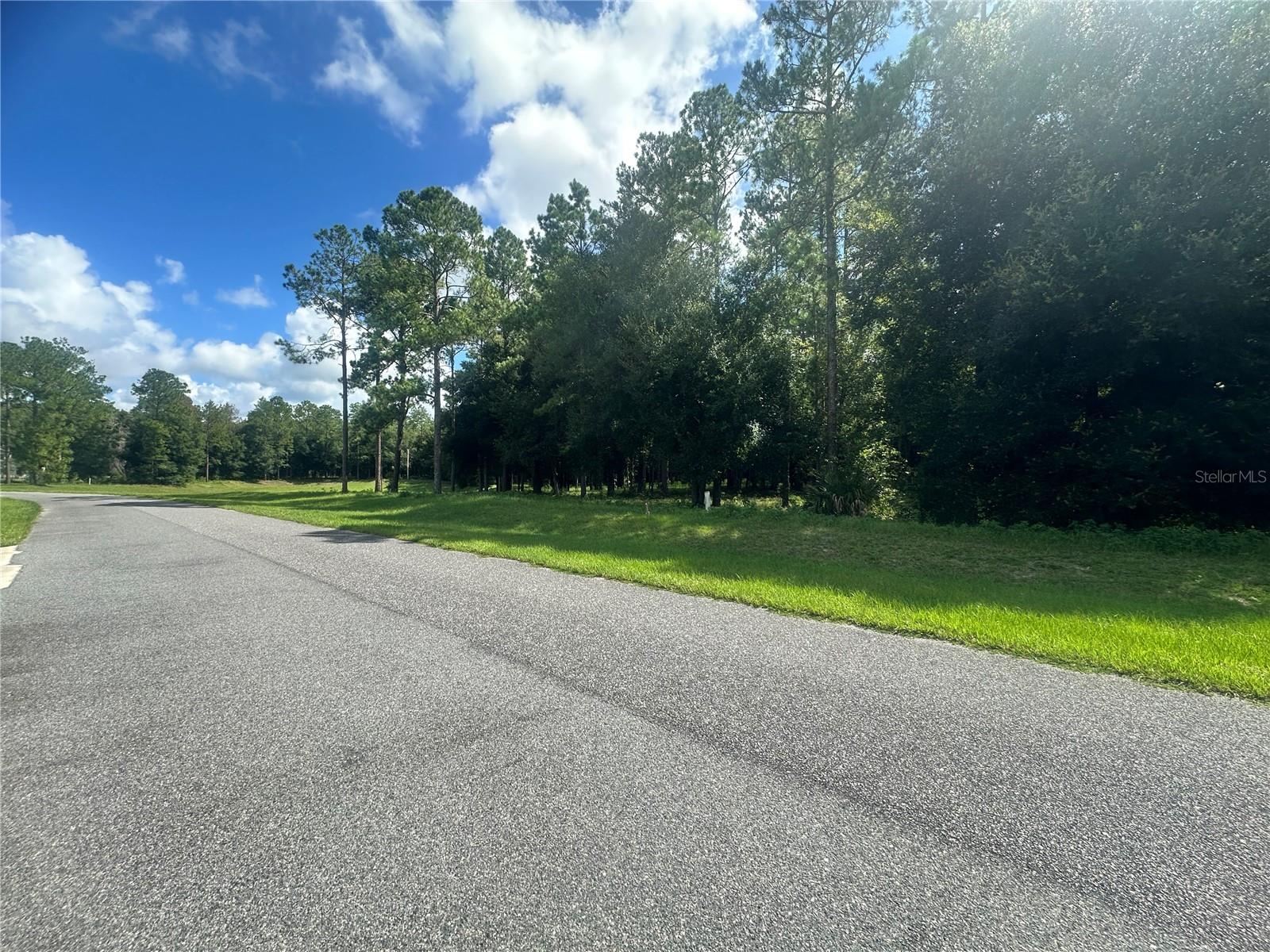 24250 DEEP SPRINGS LOOP, EUSTIS, FL, 32736