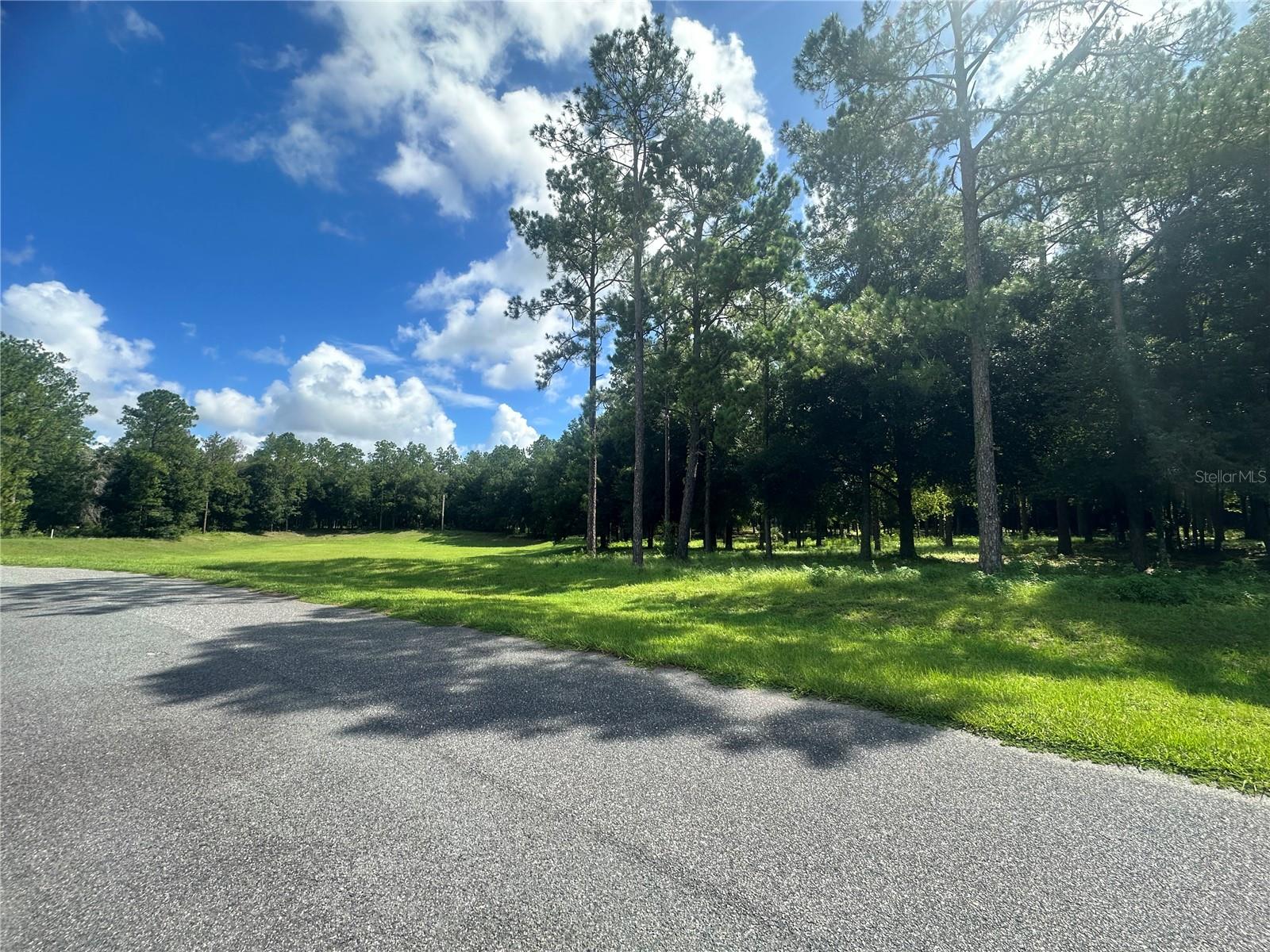 24250 DEEP SPRINGS LOOP, EUSTIS, FL, 32736