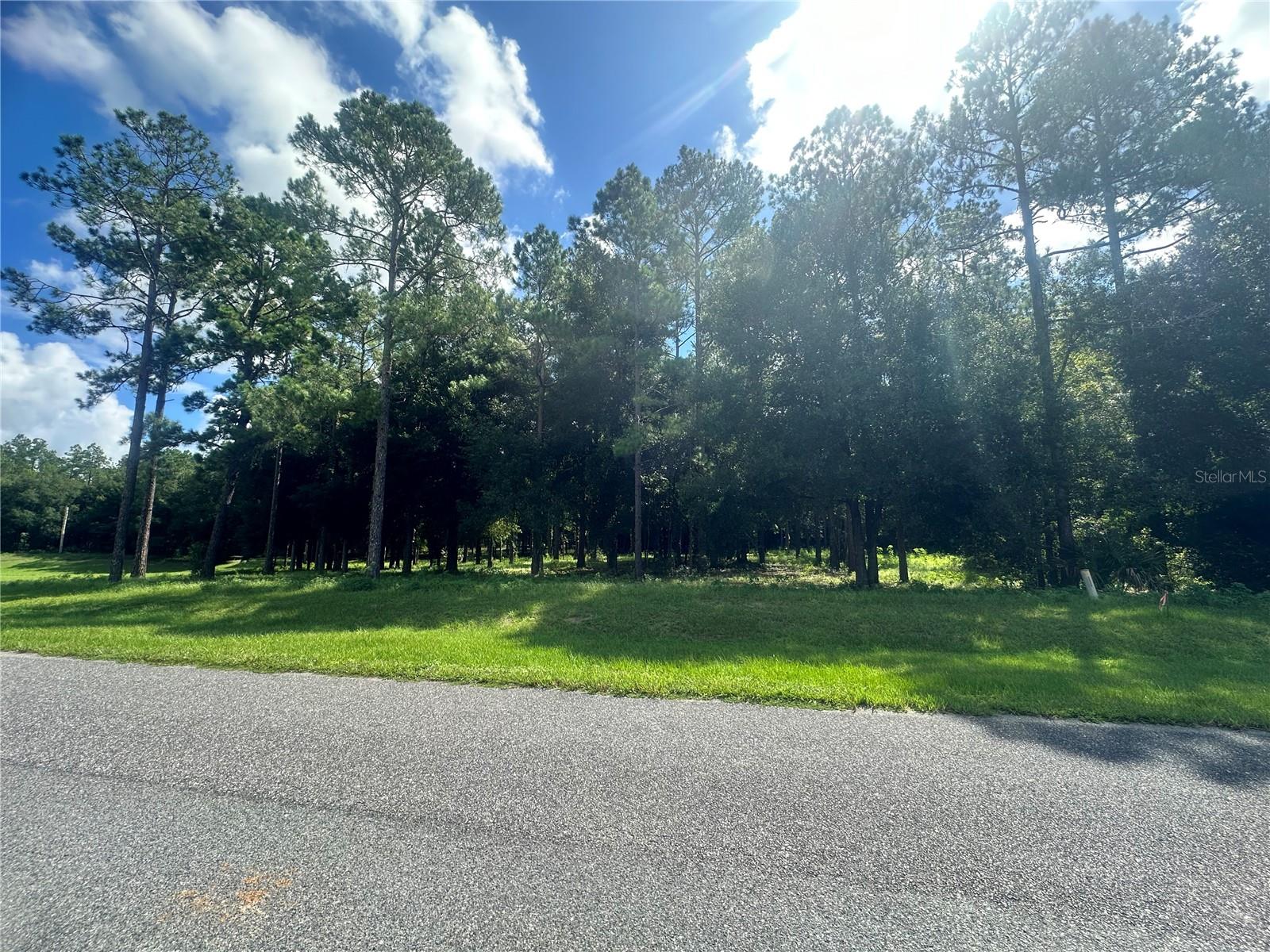 24250 DEEP SPRINGS LOOP, EUSTIS, FL, 32736