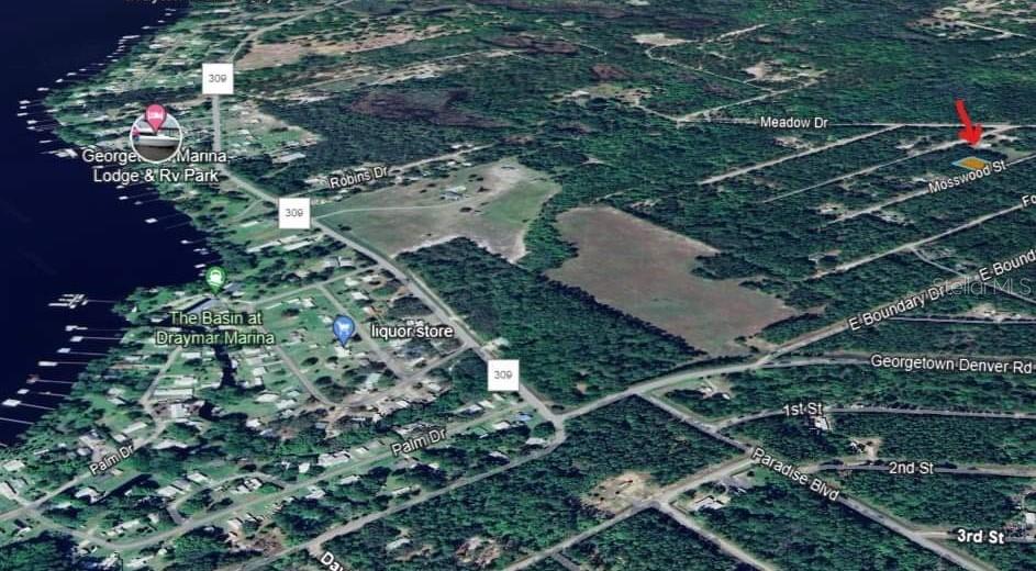 119 MOSSWOOD ST, GEORGETOWN, FL, 32139
