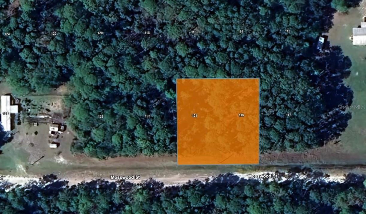119 MOSSWOOD ST, GEORGETOWN, FL, 32139