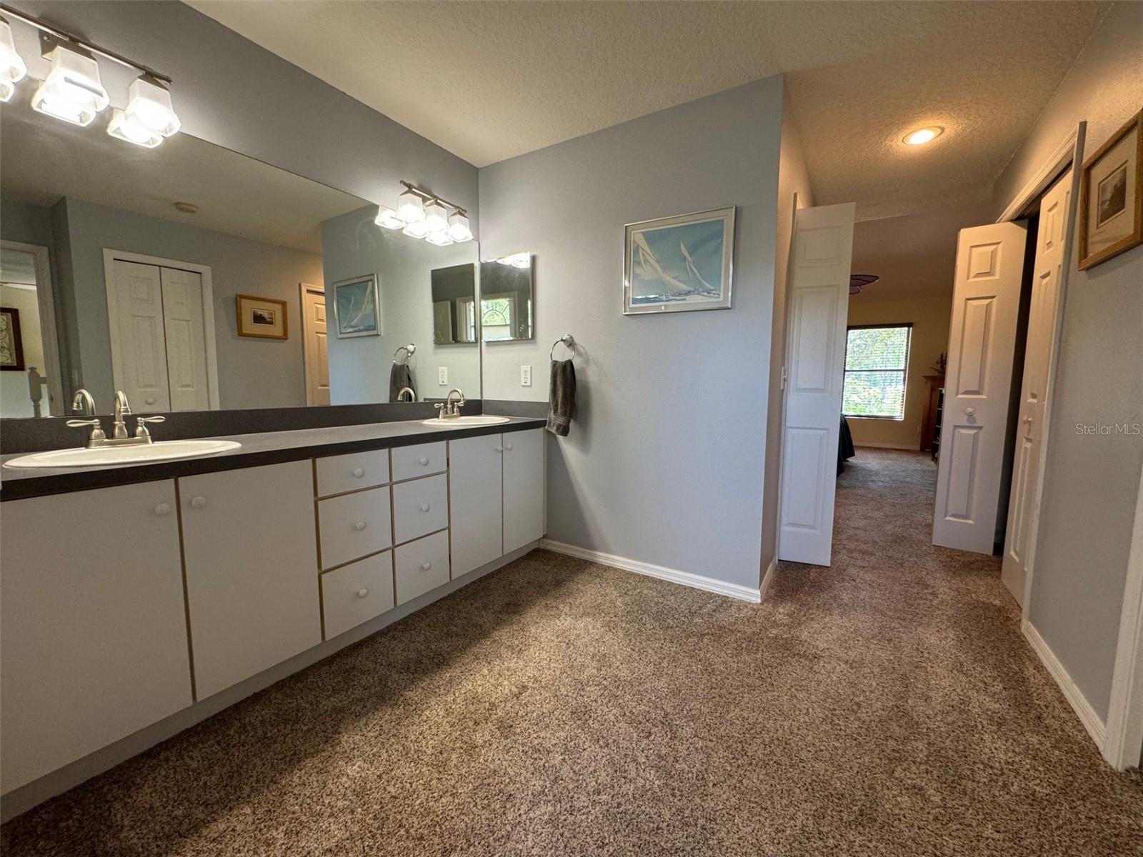 17565 FAIRMEADOW DR, TAMPA, FL, 33647