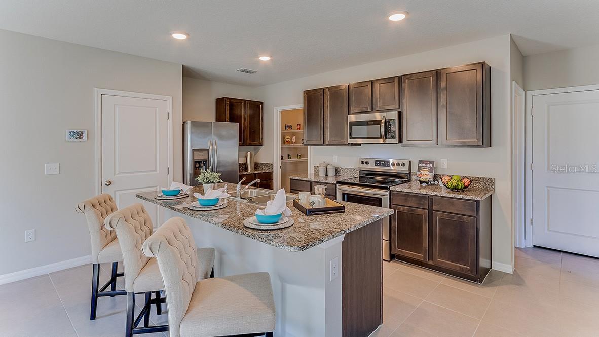 3205 EVENMORE WAY, WILDWOOD, FL, 34785