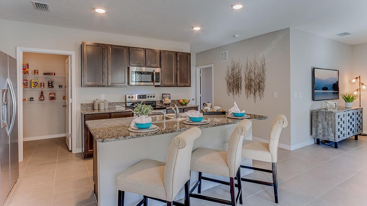 3205 EVENMORE WAY, WILDWOOD, FL, 34785