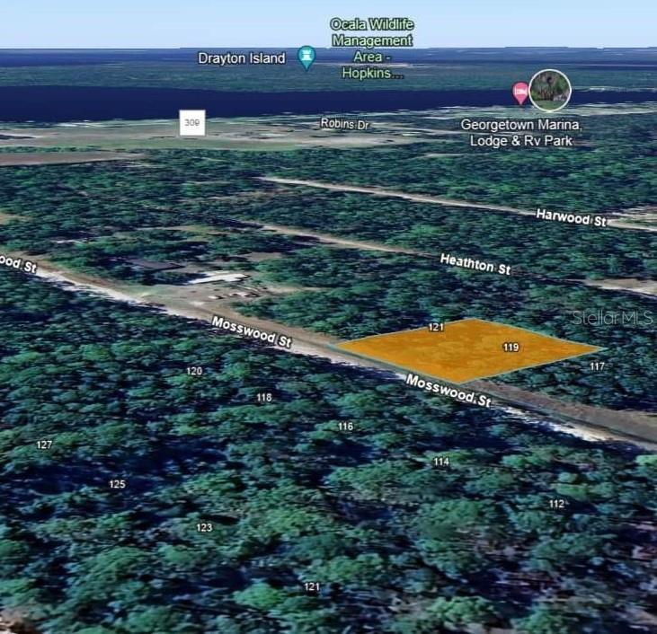 121 MOSSWOOD ST, GEORGETOWN, FL, 32139