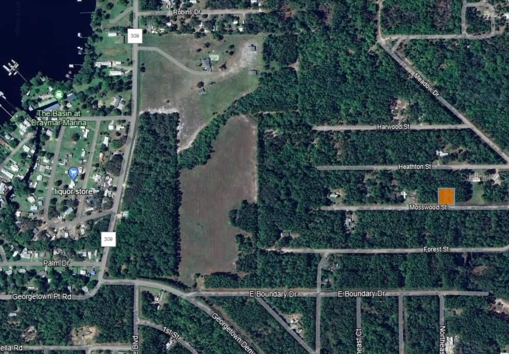 121 MOSSWOOD ST, GEORGETOWN, FL, 32139