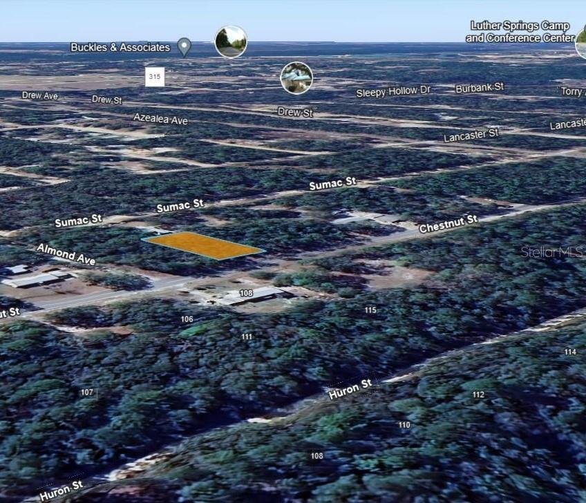 113 CHESTNUT ST, INTERLACHEN, FL, 32148