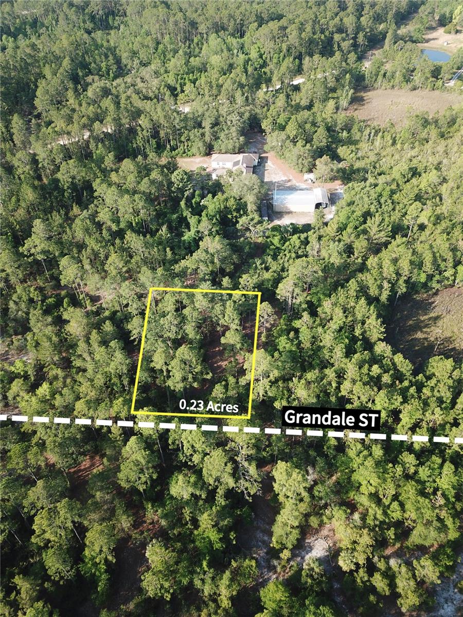 113 CHESTNUT ST, INTERLACHEN, FL, 32148