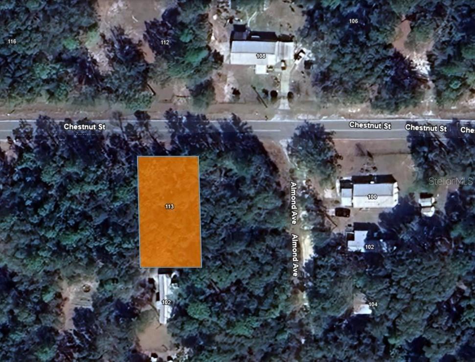 113 CHESTNUT ST, INTERLACHEN, FL, 32148