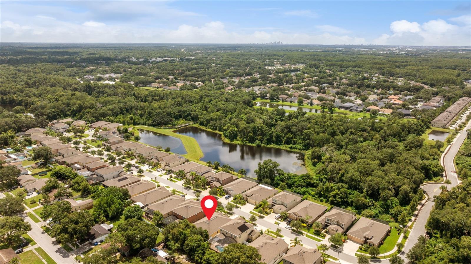 13428 CANOPY CREEK DR, TAMPA, FL, 33625