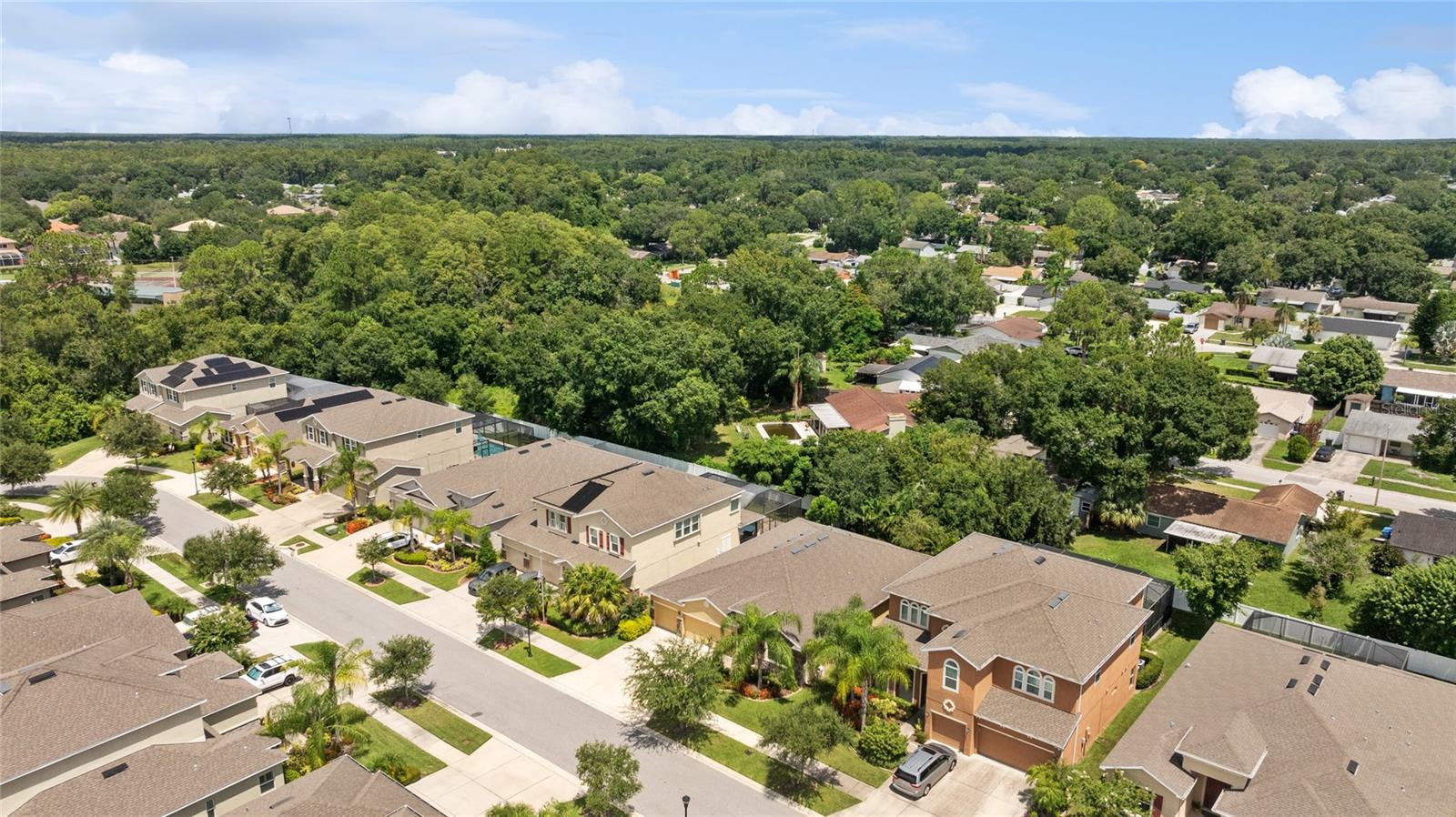 13428 CANOPY CREEK DR, TAMPA, FL, 33625