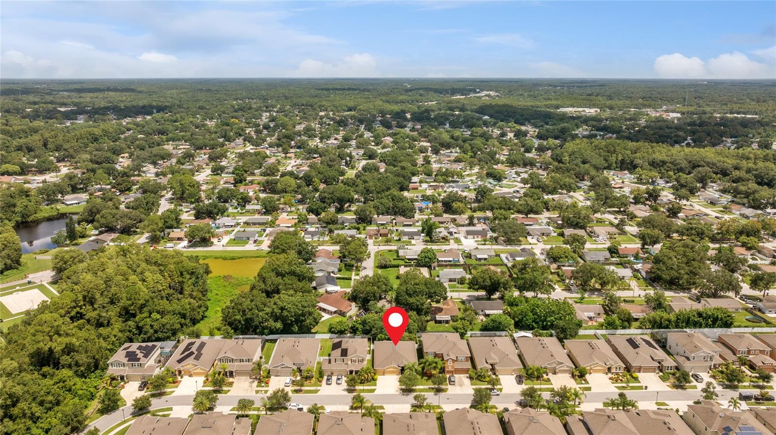 13428 CANOPY CREEK DR, TAMPA, FL, 33625