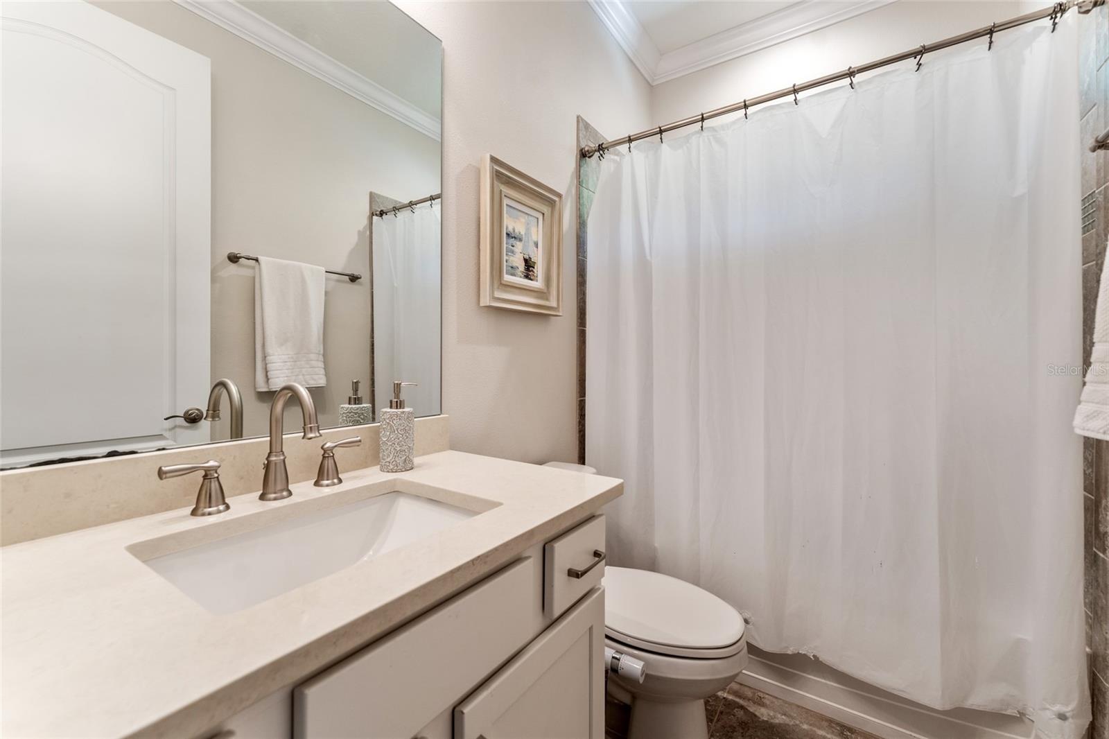 13428 CANOPY CREEK DR, TAMPA, FL, 33625