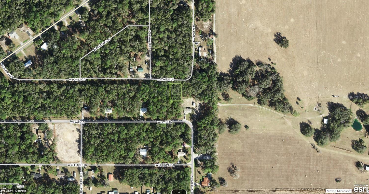 9542 W POMELO LN, CRYSTAL RIVER, FL, 34428