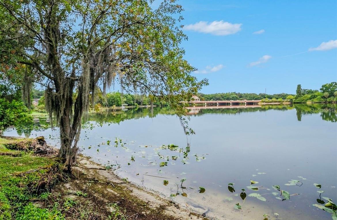 7156 E BANK DR #7156, TAMPA, FL, 33617