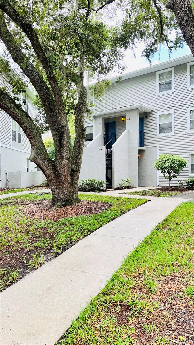 7156 E BANK DR #7156, TAMPA, FL, 33617