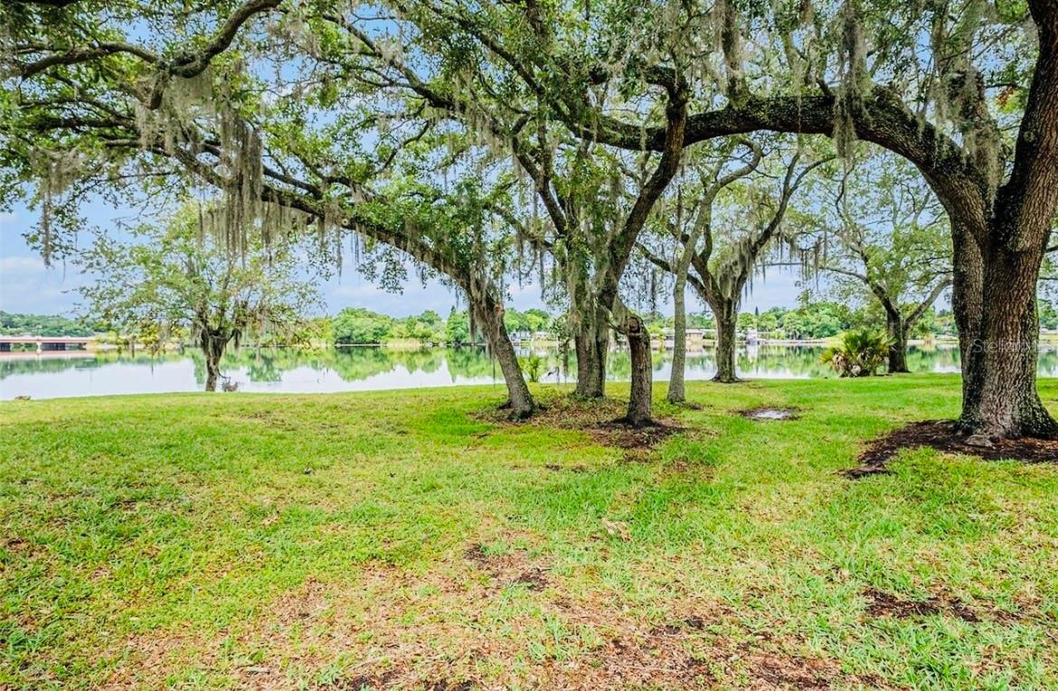 7156 E BANK DR #7156, TAMPA, FL, 33617