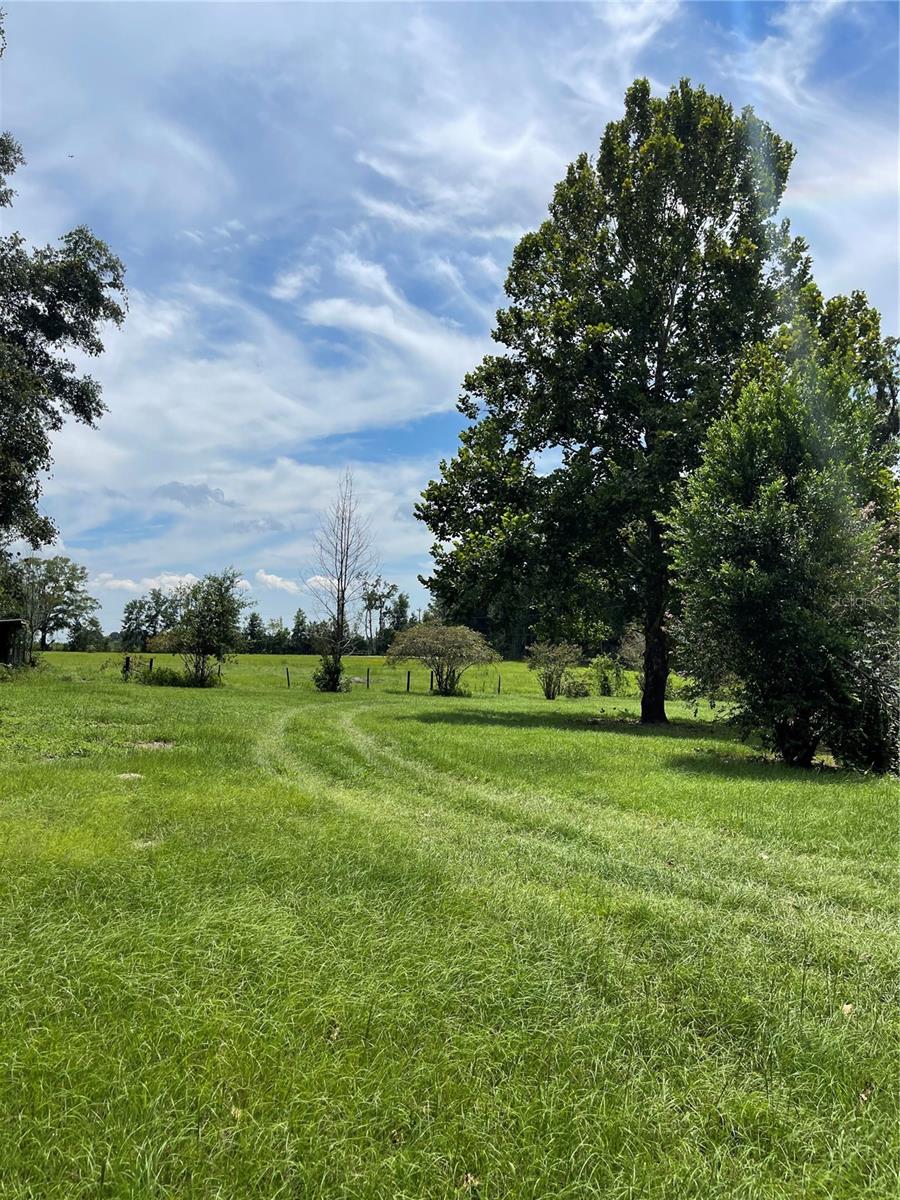 5631 NW 140TH ST, CHIEFLAND, FL, 32626