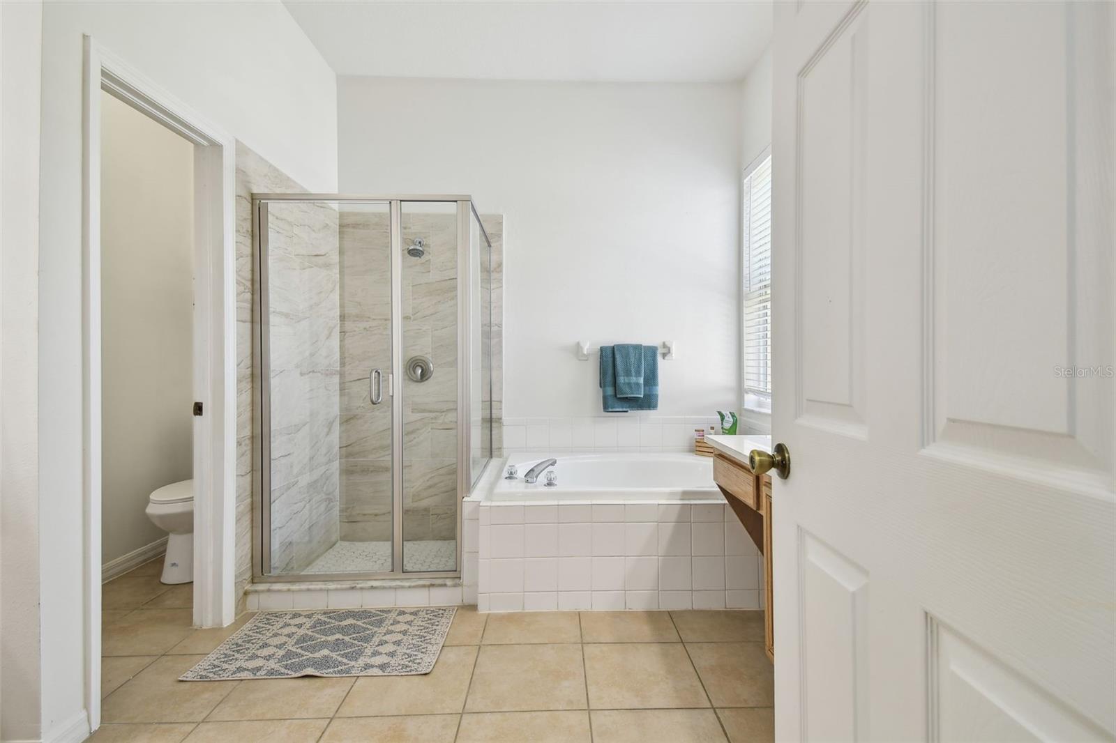 1130 BIG CREEK DR, WESLEY CHAPEL, FL, 33544