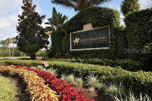 18455 BRIDLE CLUB DR #18455, TAMPA, FL, 33647