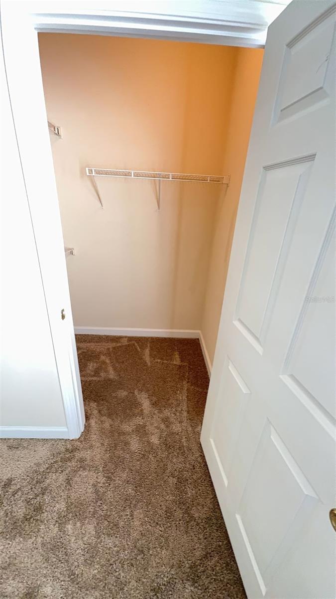 18455 BRIDLE CLUB DR #18455, TAMPA, FL, 33647